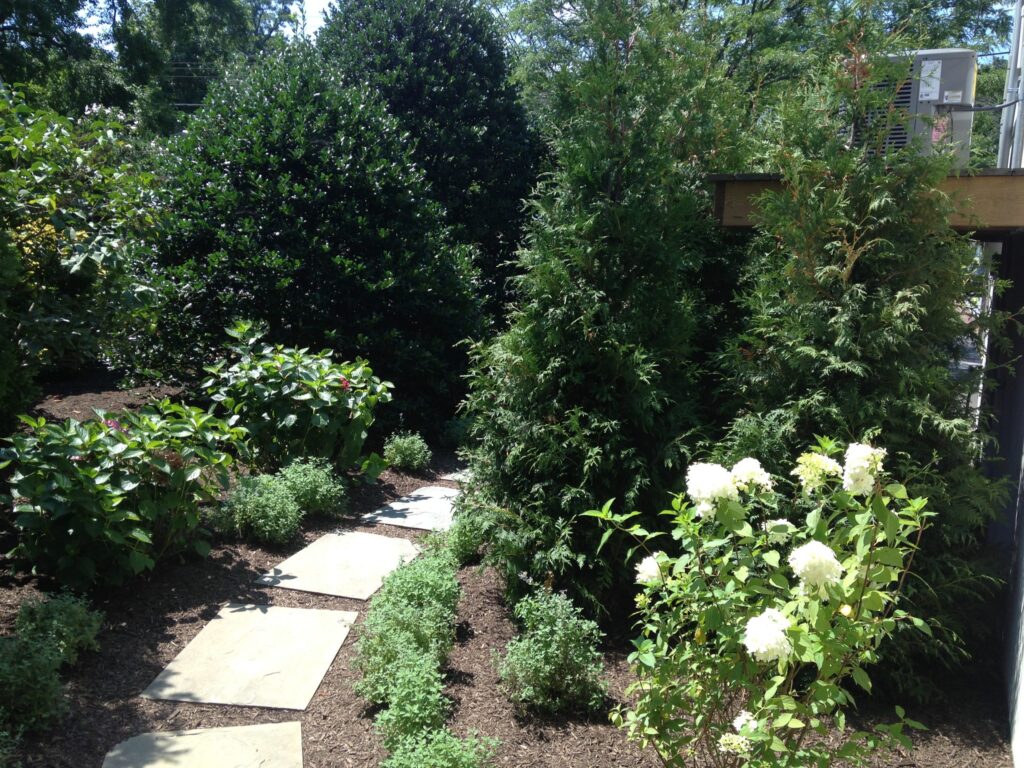Bluestone paver path leading to a backyard patio with hydrangeas and a mountain ridge in the distance